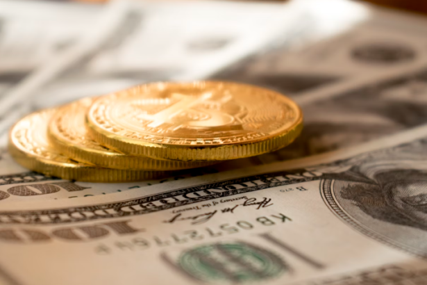 Deutsche Bank and DWS Private Credit Opportunity