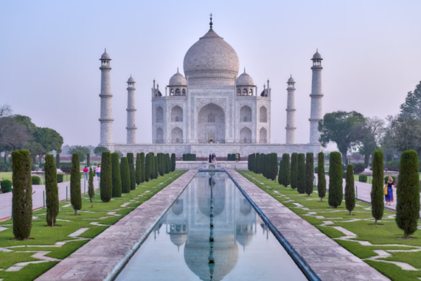 The narrative of India’s agriculture stance