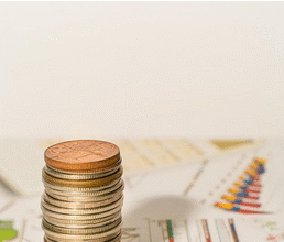 A phase in the Universal Economy