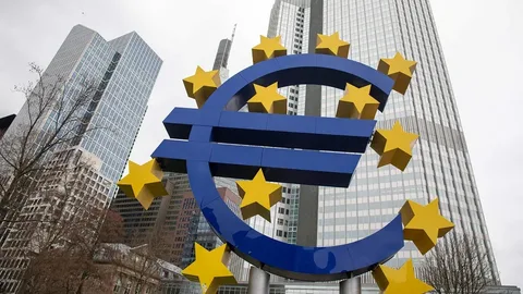Euro zone economy