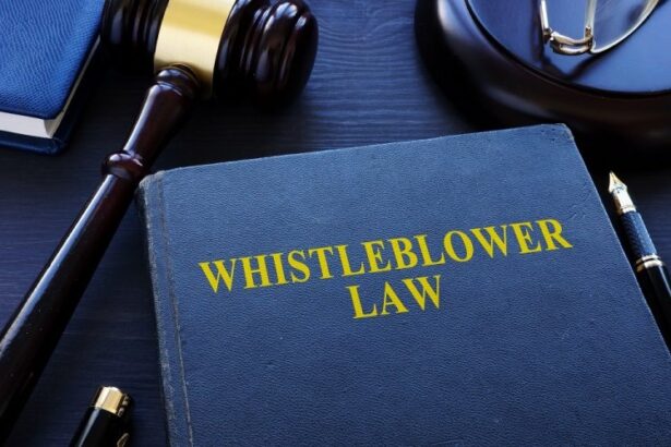 Whistleblower protection law in Dubai safeguards public sector employees from retaliation.