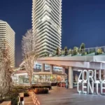 Zorlu Asset Sales