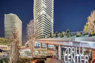 Zorlu Asset Sales