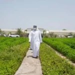 Al Ain Farms Group