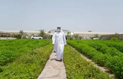 Al Ain Farms Group