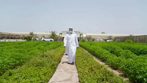 Al Ain Farms Group